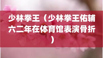 少林拳王（少林拳王佑辅六二年在体育馆表演骨折）