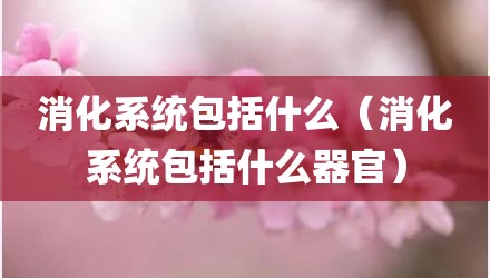 消化系统包括什么（消化系统包括什么器官）