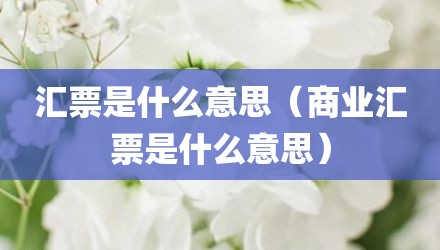 汇票是什么意思（商业汇票是什么意思）