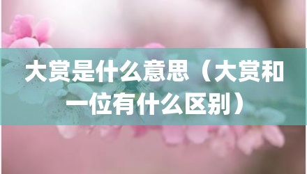 大赏是什么意思（大赏和一位有什么区别）