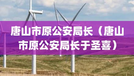 唐山市原公安局长（唐山市原公安局长于圣喜）