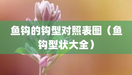 鱼钩的钩型对照表图（鱼钩型状大全）