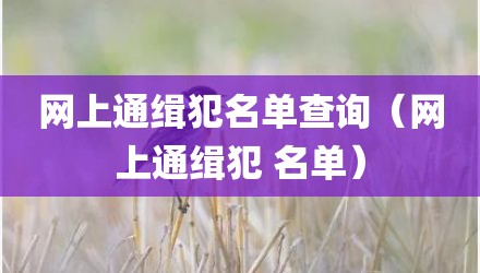 网上通缉犯名单查询(网上通缉犯 名单)