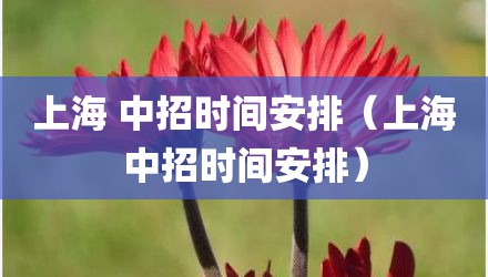 上海 中招时间安排（上海中招时间安排）