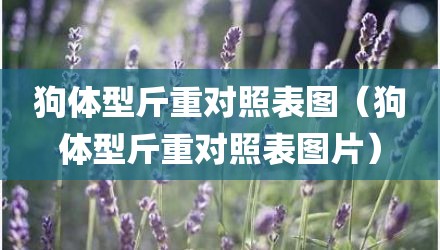 狗体型斤重对照表图（狗体型斤重对照表图片）