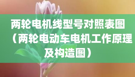 两轮电机线型号对照表图（两轮电动车电机工作原理及构造图）