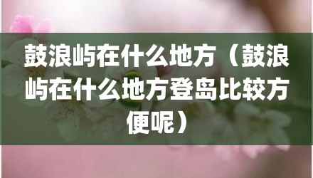 鼓浪屿在什么地方（鼓浪屿在什么地方登岛比较方便呢）