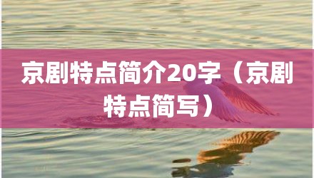 京剧特点简介20字(京剧特点简写)