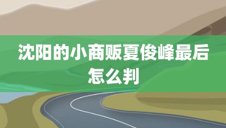 沈阳的小商贩夏俊峰最后怎么判