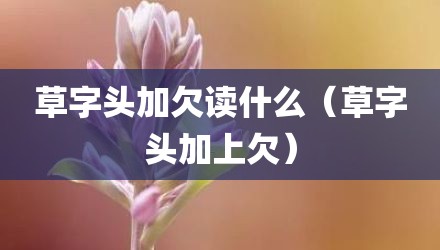 草字头加欠读什么（草字头加上欠）
