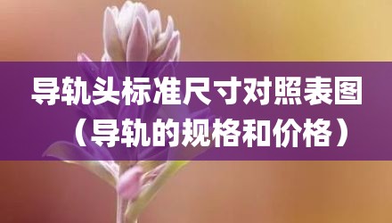导轨头标准尺寸对照表图（导轨的规格和价格）