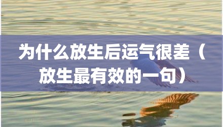 为什么放生后运气很差（放生最有效的一句）