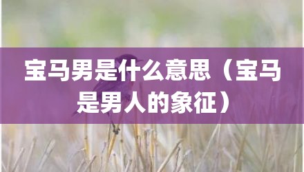 宝马男是什么意思（宝马是男人的象征）