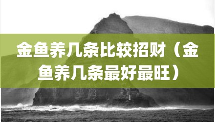 金鱼养几条比较招财（金鱼养几条最好最旺）