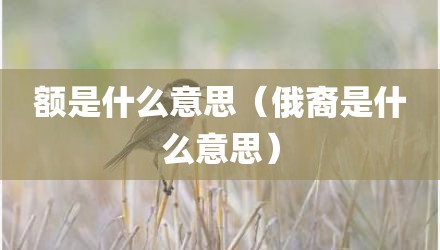 额是什么意思（俄裔是什么意思）
