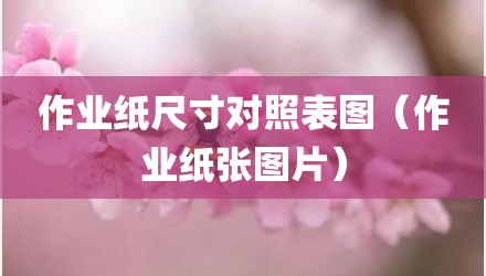 作业纸尺寸对照表图（作业纸张图片）