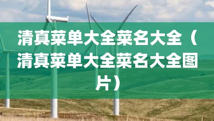 清真菜单大全菜名大全（清真菜单大全菜名大全图片）