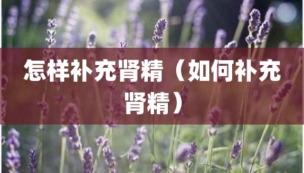 怎样补充肾精（如何补充肾精）
