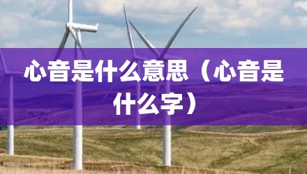 心音是什么意思（心音是什么字）