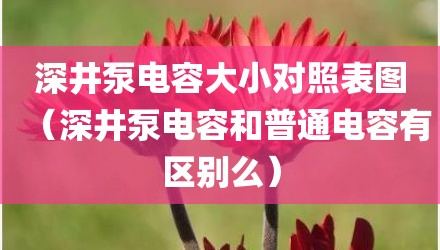 深井泵电容大小对照表图（深井泵电容和普通电容有区别么）