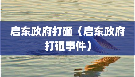 启东政府打砸（启东政府打砸事件）