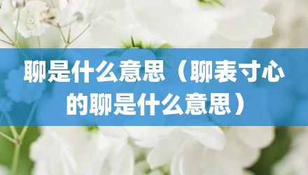 聊是什么意思（聊表寸心的聊是什么意思）
