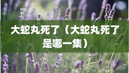 大蛇丸死了（大蛇丸死了是哪一集）