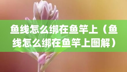 鱼线怎么绑在鱼竿上（鱼线怎么绑在鱼竿上图解）