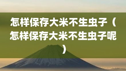 怎样保存大米不生虫子（怎样保存大米不生虫子呢）