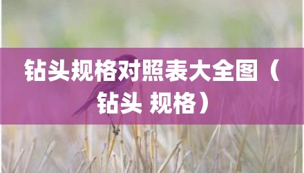 钻头规格对照表大全图（钻头 规格）