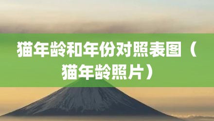 猫年龄和年份对照表图（猫年龄照片）