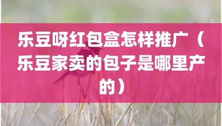 乐豆呀红包盒怎样推广（乐豆家卖的包子是哪里产的）