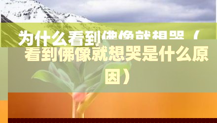 为什么看到佛像就想哭(看到佛像就想哭是什么原因)