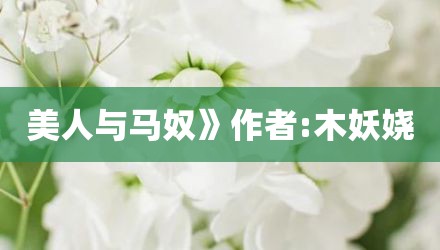 美人与马奴》作者:木妖娆