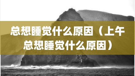 总想睡觉什么原因（上午总想睡觉什么原因）
