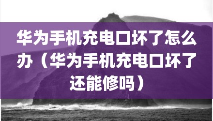 华为手机充电口坏了怎么办（华为手机充电口坏了还能修吗）