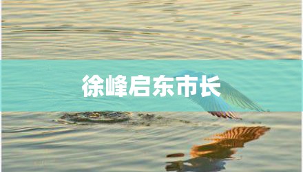 徐峰启东市长