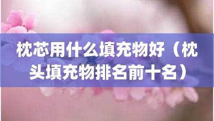 枕芯用什么填充物好（枕头填充物排名前十名）