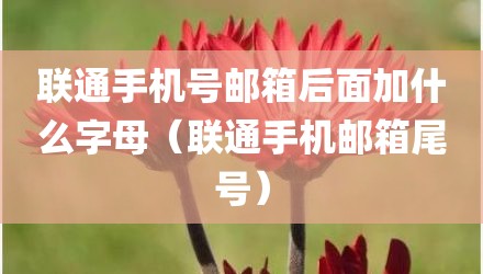 联通手机号邮箱后面加什么字母(联通手机邮箱尾号)