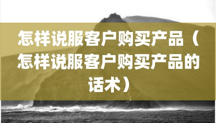 怎样说服客户购买产品（怎样说服客户购买产品的话术）