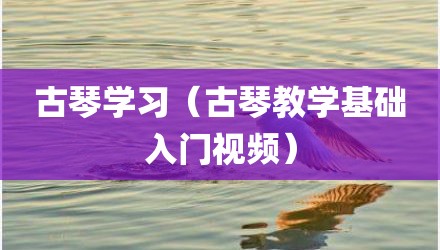 古琴学习（古琴教学基础入门视频）