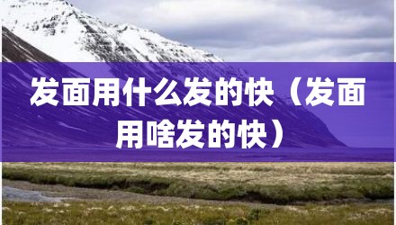 发面用什么发的快（发面用啥发的快）