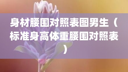 身材腰围对照表图男生（标准身高体重腰围对照表）