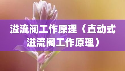 溢流阀工作原理（直动式溢流阀工作原理）