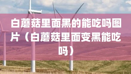 白蘑菇里面黑的能吃吗图片(白蘑菇里面变黑能吃吗)