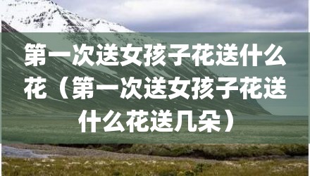 第一次送女孩子花送什么花(第一次送女孩子花送什么花送几朵)