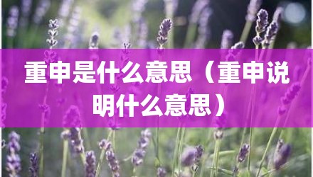 重申是什么意思（重申说明什么意思）