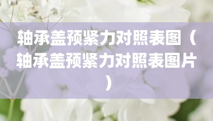 轴承盖预紧力对照表图（轴承盖预紧力对照表图片）