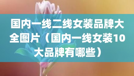 国内一线二线女装品牌大全图片(国内一线女装10大品牌有哪些)