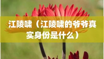江陵啸（江陵啸的爷爷真实身份是什么）